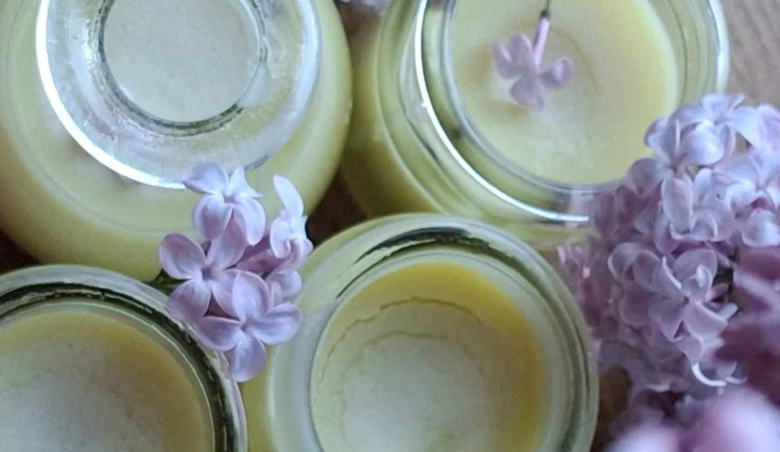 bylinky, šeřík, mast