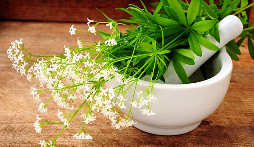 Bylinky, mařinka, Máj, láska