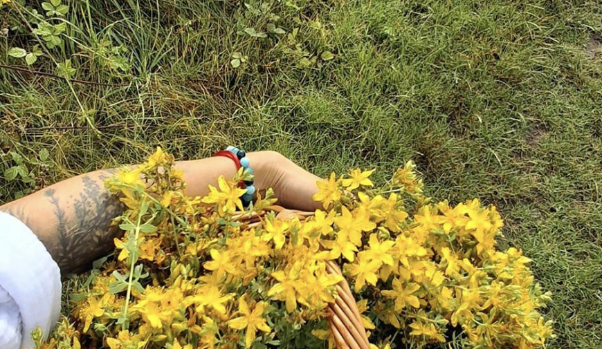 třezalka, bylinky, sběr, bylinkář, zdraví, psychika, pohoda